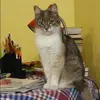 Отзыв от Анастасия Гордеева
